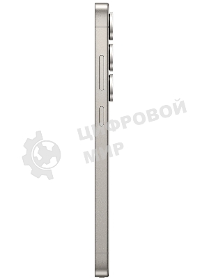 Смартфон Samsung Galaxy S25 Ultra 5G 12/256GB серый титан