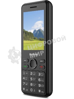 Мобильный телефон Xenium X280 черный