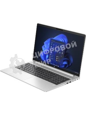 Ноутбук HP ProBook 450 G10/15.6