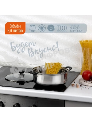 Кастрюля Promo, объем 2,9 л, из нержавеющей стали с крышкой из жаропрочного стекла 104615