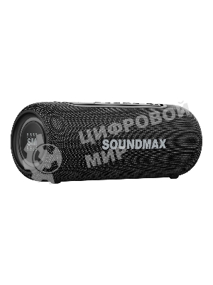 Портативная колонка Soundmax SM-PS5026B черный