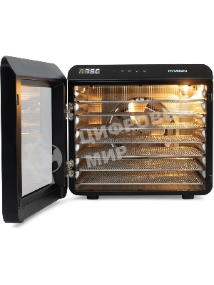 Сушка для фруктов и овощей Hyundai HYFD-8801 14под. 600Вт серебристый