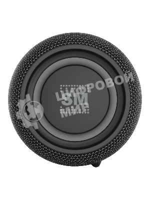 Портативная колонка Soundmax SM-PS5026B черный