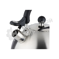 Чайник для плиты MALLONY GRANDE 5 л (985619)