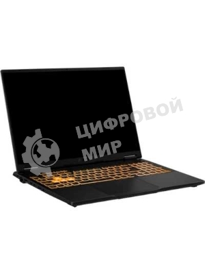 Ноутбук ASUS TUF Gaming F16 FX608JMR-RV114 Intel Core i7 14650HX 2200MHz/16