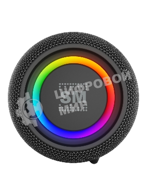 Портативная колонка Soundmax SM-PS5026B черный