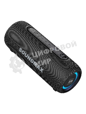 Портативная колонка Soundmax SM-PS5026B черный