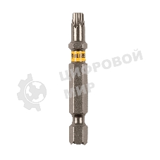 Набор бит Denzel TORX 25х50, сталь S2, шестигранный профиль, 10 шт.