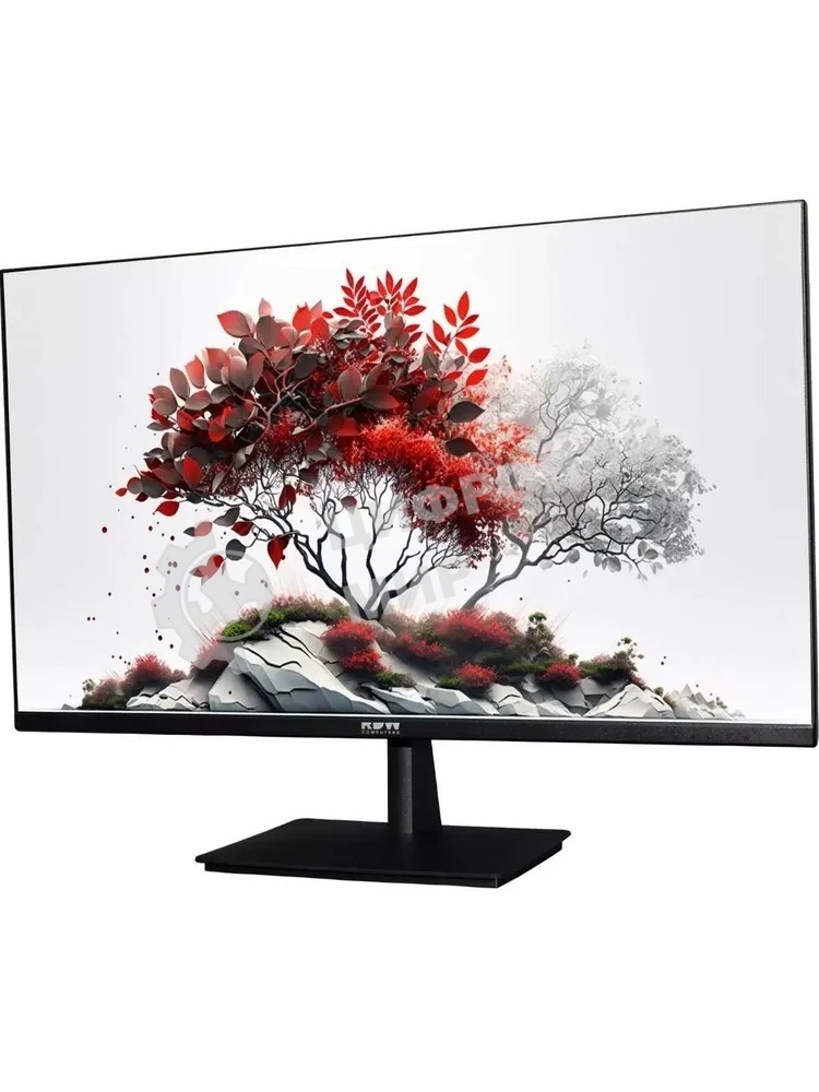Монитор RDW Computers 23.8