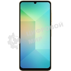 Смартфон Samsung Galaxy A06 SM-A065F 4/64Gb золотистый