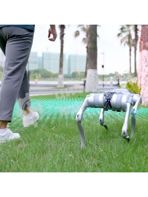 Бионический четырехопорный робот Unitree Go2 версии EDU