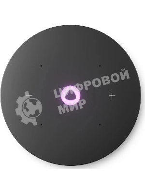 Умная колонка Яндекс Станция Мини 3 Про, 18Вт, компактная, 1 динамик, Алиса, Wi-Fi, Bluetooth 5.0, Zigbee, Matter, серый