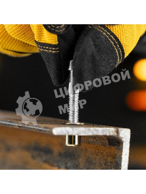 Заклепки резьбовые Denzel стальные, оцинкованные, М6, пластиковый кейс, 70 шт.