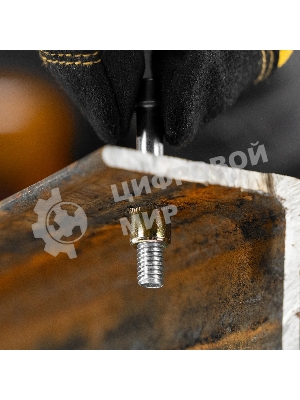 Заклепки резьбовые Denzel стальные, оцинкованные, М6, пластиковый кейс, 70 шт.