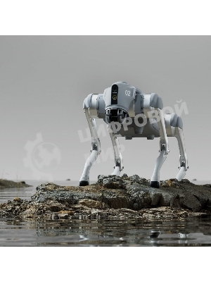 Бионический четырехопорный робот Unitree Go2 версии EDU
