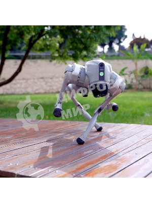 Бионический четырехопорный робот Unitree Go2 версии EDU