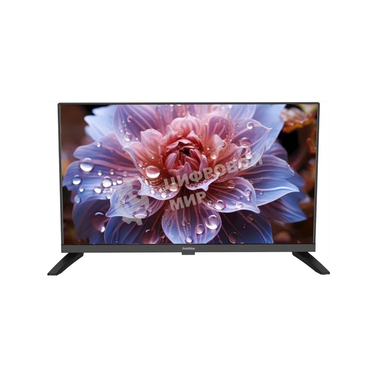Телевизор GOLDSTAR 24