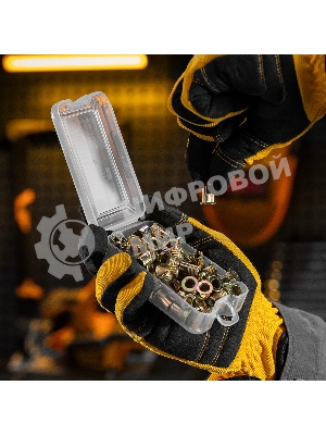 Заклепки резьбовые Denzel стальные, оцинкованные, М6, пластиковый кейс, 70 шт.