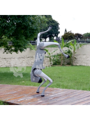 Бионический четырехопорный робот Unitree Go2 версии EDU