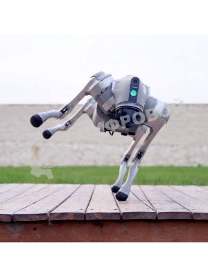 Бионический четырехопорный робот Unitree Go2 версии EDU