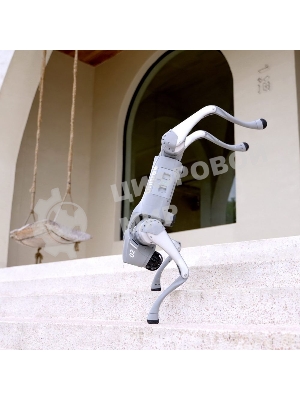 Бионический четырехопорный робот Unitree Go2 версии EDU