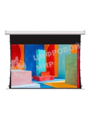 Экран для проектора S'OK SCPSMT-200x150FG-ED60 100