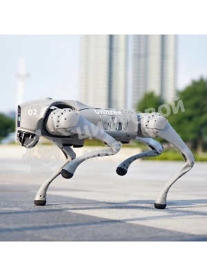 Бионический четырехопорный робот Unitree Go2 версии EDU