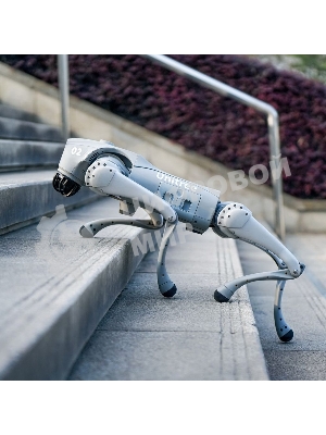 Бионический четырехопорный робот Unitree Go2 версии EDU