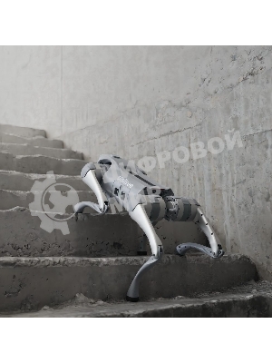 Бионический четырехопорный робот Unitree Go2 версии EDU