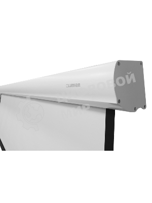 Экран с электроприводом Lumien Master Business Control 297х455 см, (раб.область 267х426 см) (198