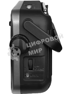 Радиоприемник Ritmix RPR-320, серый