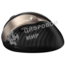 Мышь беспроводная Genius Ergo 8250S черный, 1600 dpi, радиоканал, USB, кнопки - 6