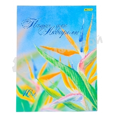 Папка для акварели Silwerhof 914008-54 A3 10 листов бумага 180г/м2