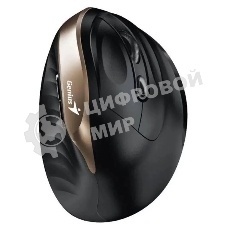 Мышь беспроводная Genius Ergo 8250S черный, 1600 dpi, радиоканал, USB, кнопки - 6