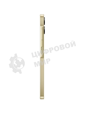 Смартфон Samsung Galaxy A06 SM-A065F, 4/128Gb, золотистый