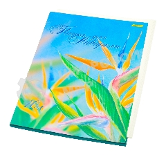 Папка для акварели Silwerhof 914008-54 A3 10 листов бумага 180г/м2