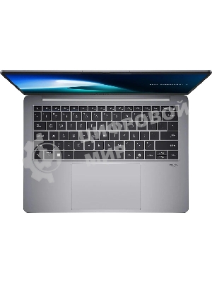 Ноутбук ASUS ExpertBook Mainstream P5405CSA-NZ0301 CORE ULTRA 5 228V 32Gb 1Tb 2280 PCIE G4 SSD 14.0 WQXGA(WQ) 2560X1600 16:10 400nits Anti-Glare sRGb 100% Wide View Intel Arc™ 130V GPU Without OS 1.237 Kg