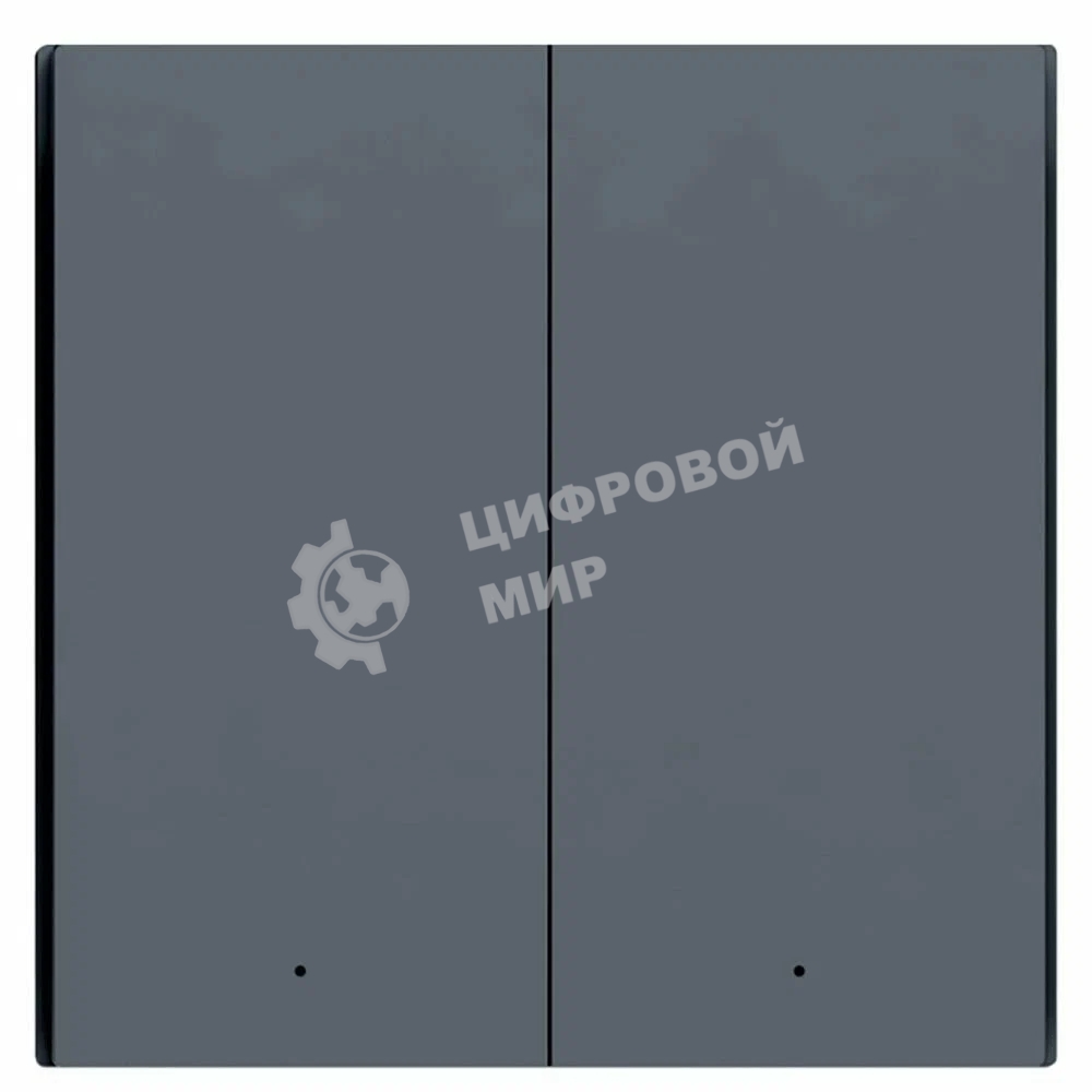 Выключатель двухклавишный без нейтрали Aqara Smart Wall Switch H1 EU (WS-EUK02 graphite) 