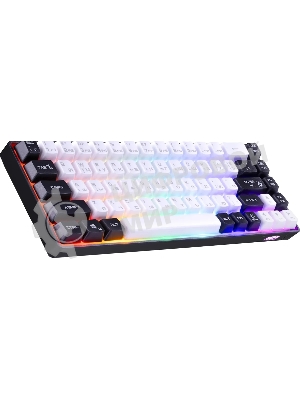 Игровая клавиатура проводная Defender Aris GK-349 RU,бел/черный,68кн+FN,радуж,1.5м