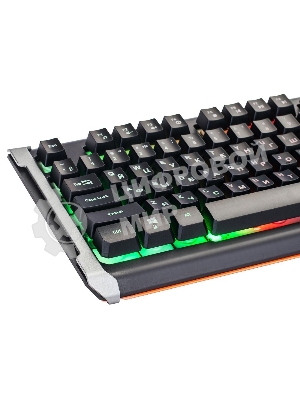 Клавиатура Oklick 717G Black Death проводная, USB Type-A, чёрный/серый