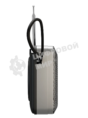 Радиоприемник SOUNDMAX SM-RD2116 черный