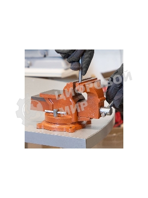 Тиски слесарные Sparta 100мм поворотные с наковальней