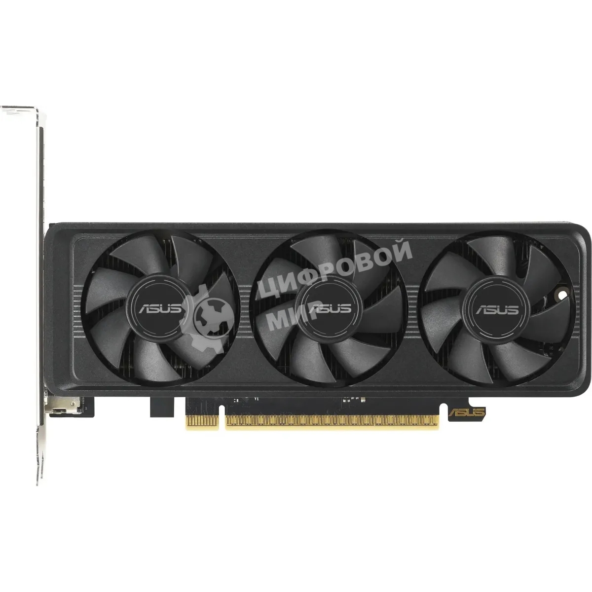 Видеокарта Asus GeForce RTX 5060 LP BRK, NVIDIA RTX 5060, 8Gb, GDDR7, 128 bit, PCI-E 5.0, HDMIx2, DPx1, HDCP, 2580 MHz
