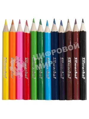 Карандаши цветные Silwerhof Mini Веселые друзья 2.65мм, шестигранный профиль, дерево, ассорти, 12 цветов, коробка с европодвесом