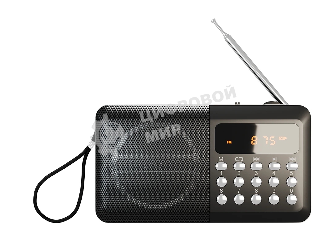 Радиоприемник SOUNDMAX SM-RD2116 черный