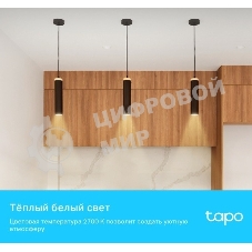 Умная диммируемая Wi-Fi лампа TP-Link Tapo L610