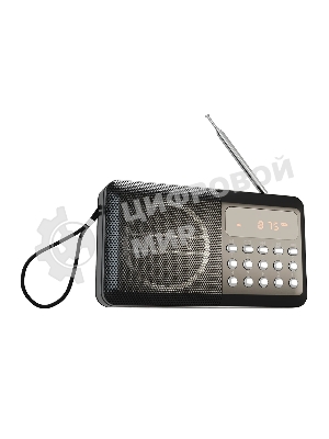 Радиоприемник SOUNDMAX SM-RD2116 черный