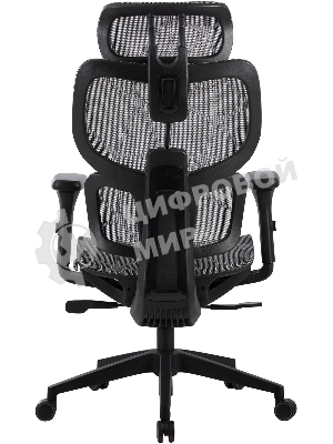 Кресло Cactus CS-MC555-GY черный, сетка