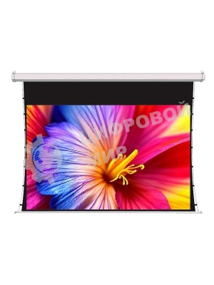 Экран для проектора S'OK SCPSMT-360x270FG-ED60 177 