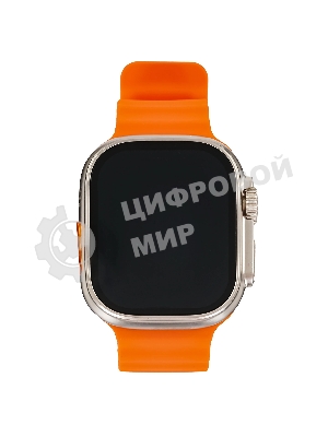 Умные часы BOROFONE (6941991100284) BD3 Gold